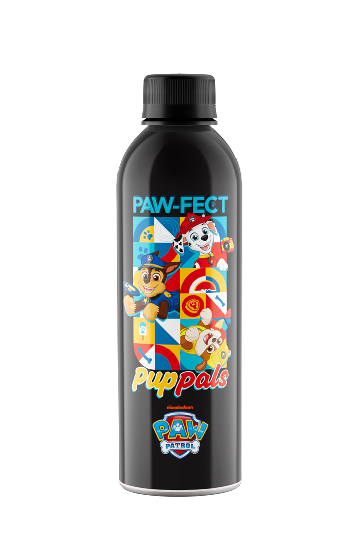 paw patrol