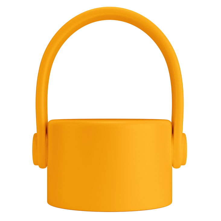 swing caps