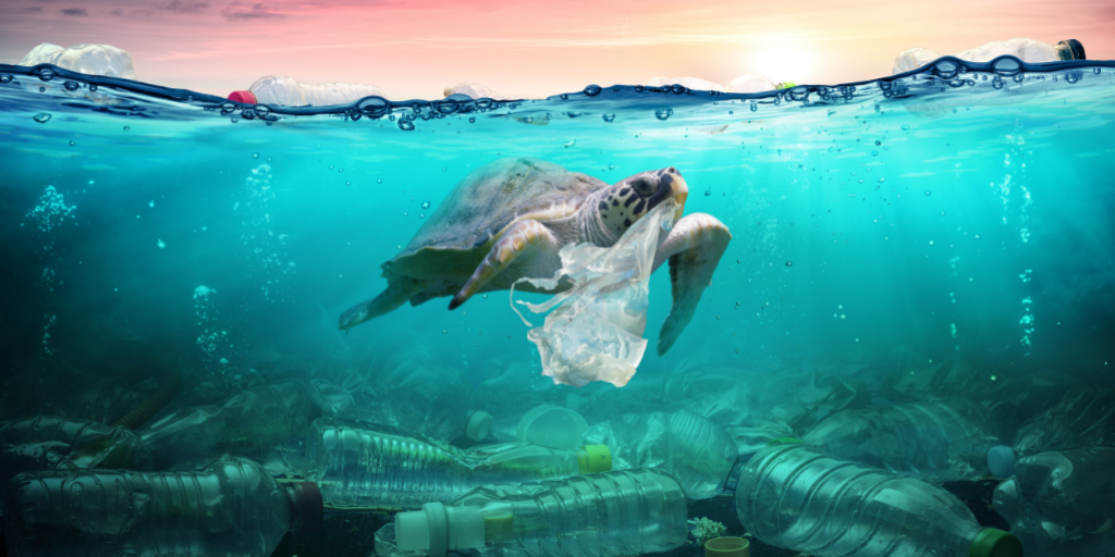 Sea turtle swimming entangled in a plastic bag above an ocean floor littered with discarded plastic bottles