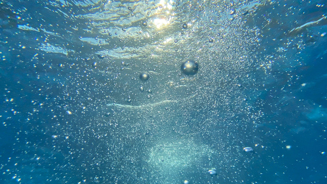 Underwater view of countless bubbles and tiny suspended particles rising toward a sunlit water surface