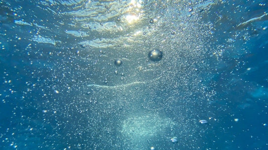 Underwater view of countless bubbles and tiny suspended particles rising toward a sunlit water surface