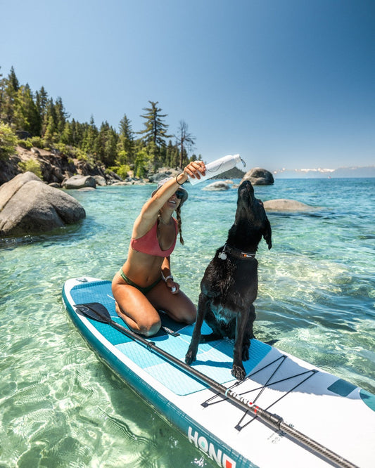 Woman on a paddleboard offering a reusable water bottle to a black dog in clear shallow lake with rocky shoreline and pine trees